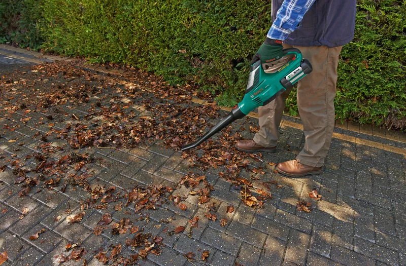 Souffleur de feuilles mortes sans fil ALB 36 LI Bosch solo